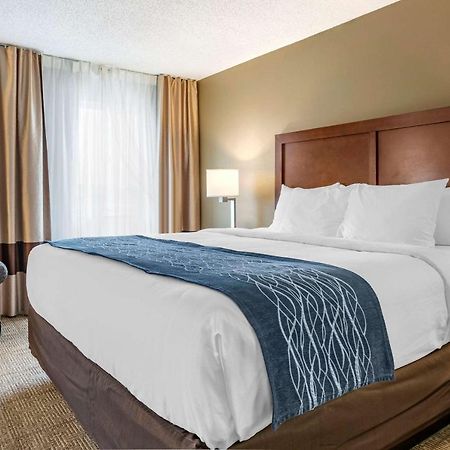 Comfort Inn & Suites Dimondale - Lansing Dış mekan fotoğraf