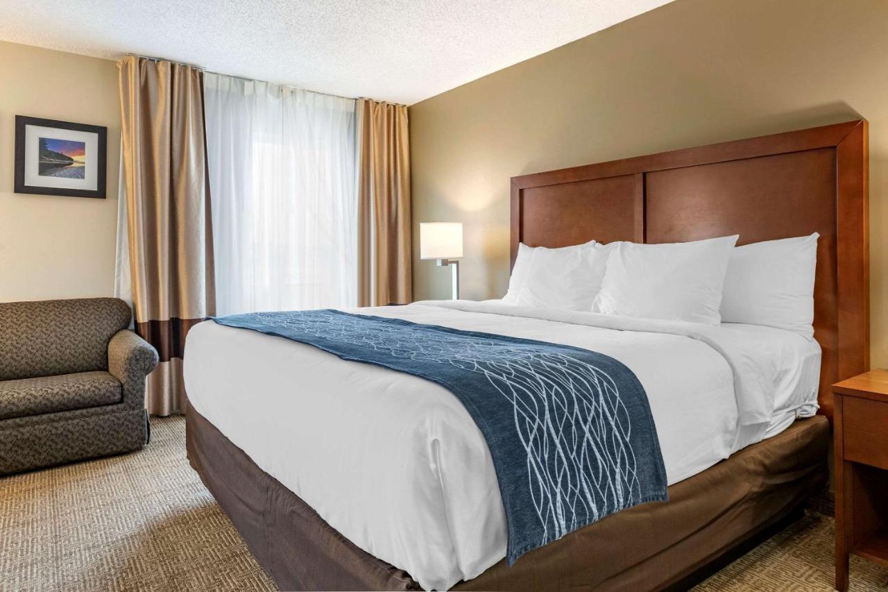 Comfort Inn & Suites Dimondale - Lansing Dış mekan fotoğraf