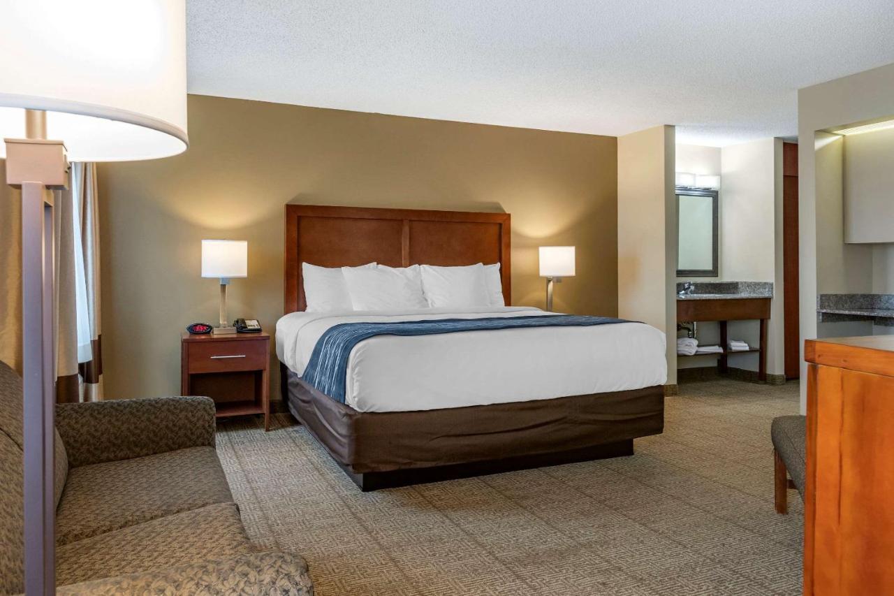 Comfort Inn & Suites Dimondale - Lansing Dış mekan fotoğraf