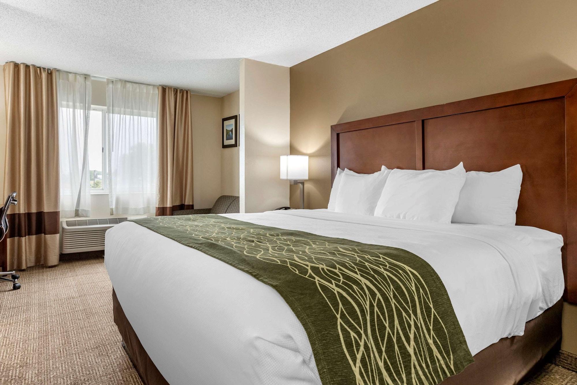 Comfort Inn & Suites Dimondale - Lansing Dış mekan fotoğraf