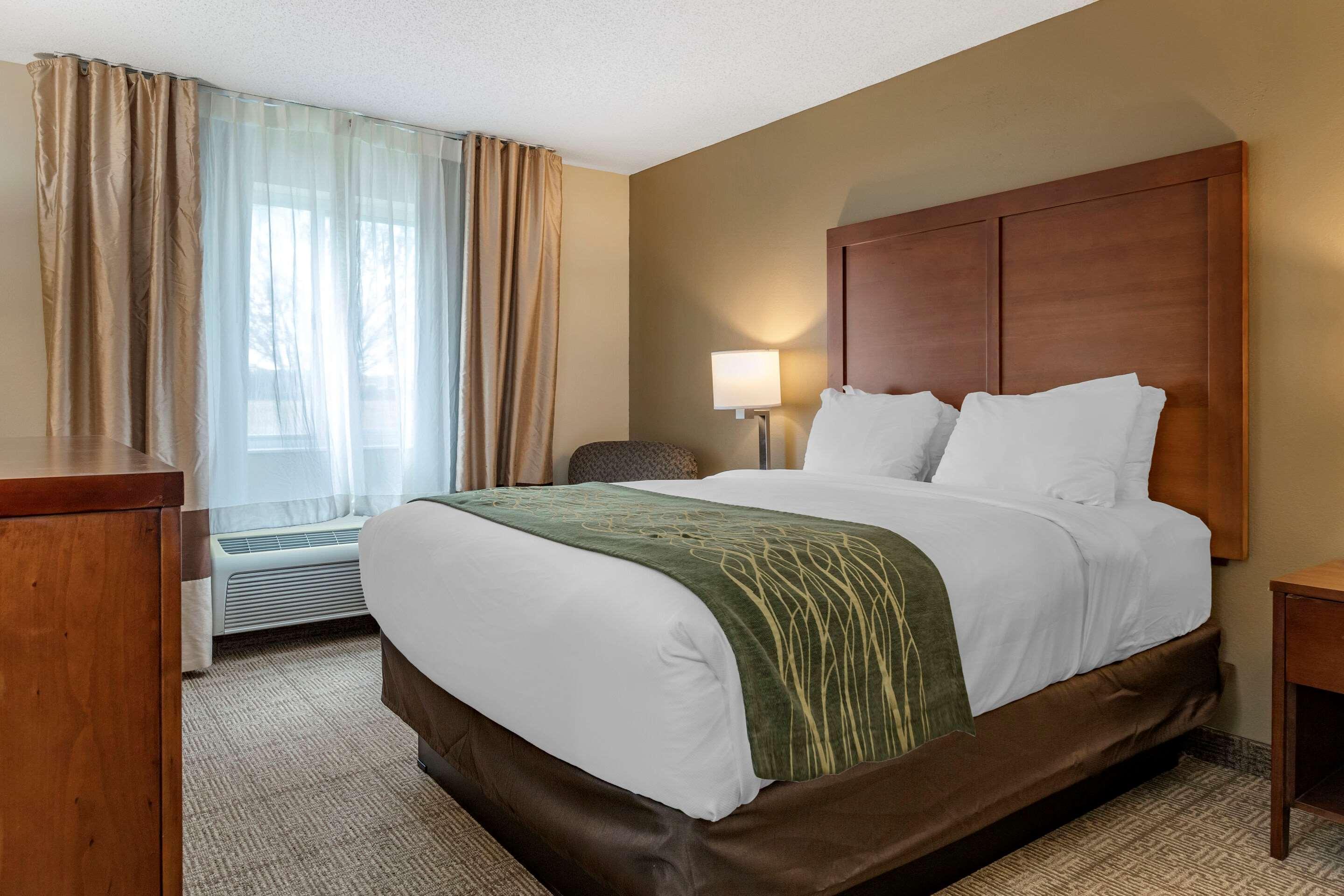 Comfort Inn & Suites Dimondale - Lansing Dış mekan fotoğraf