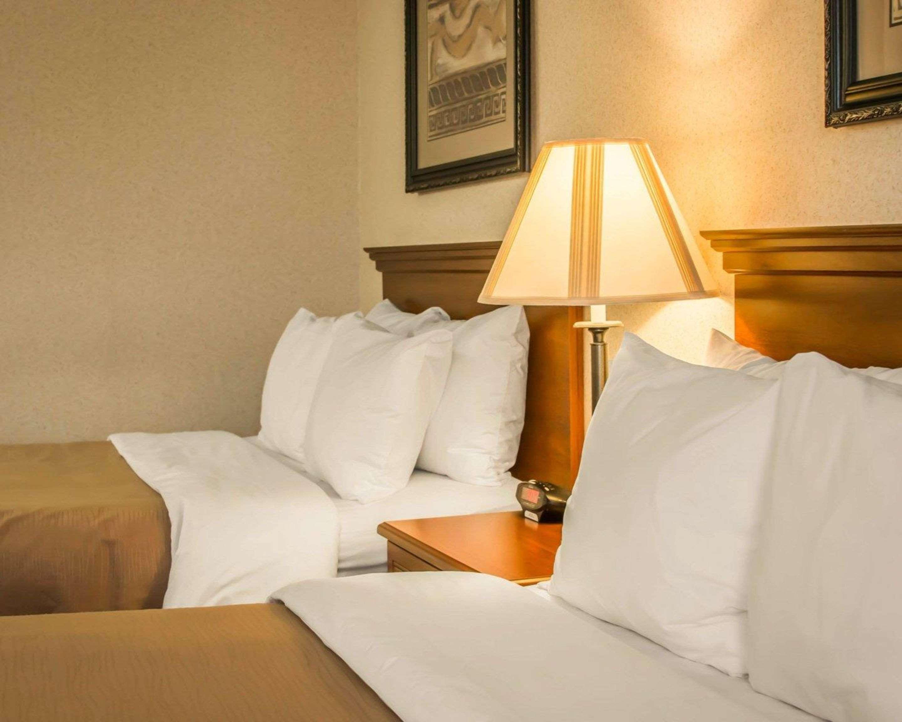 Comfort Inn & Suites Dimondale - Lansing Dış mekan fotoğraf