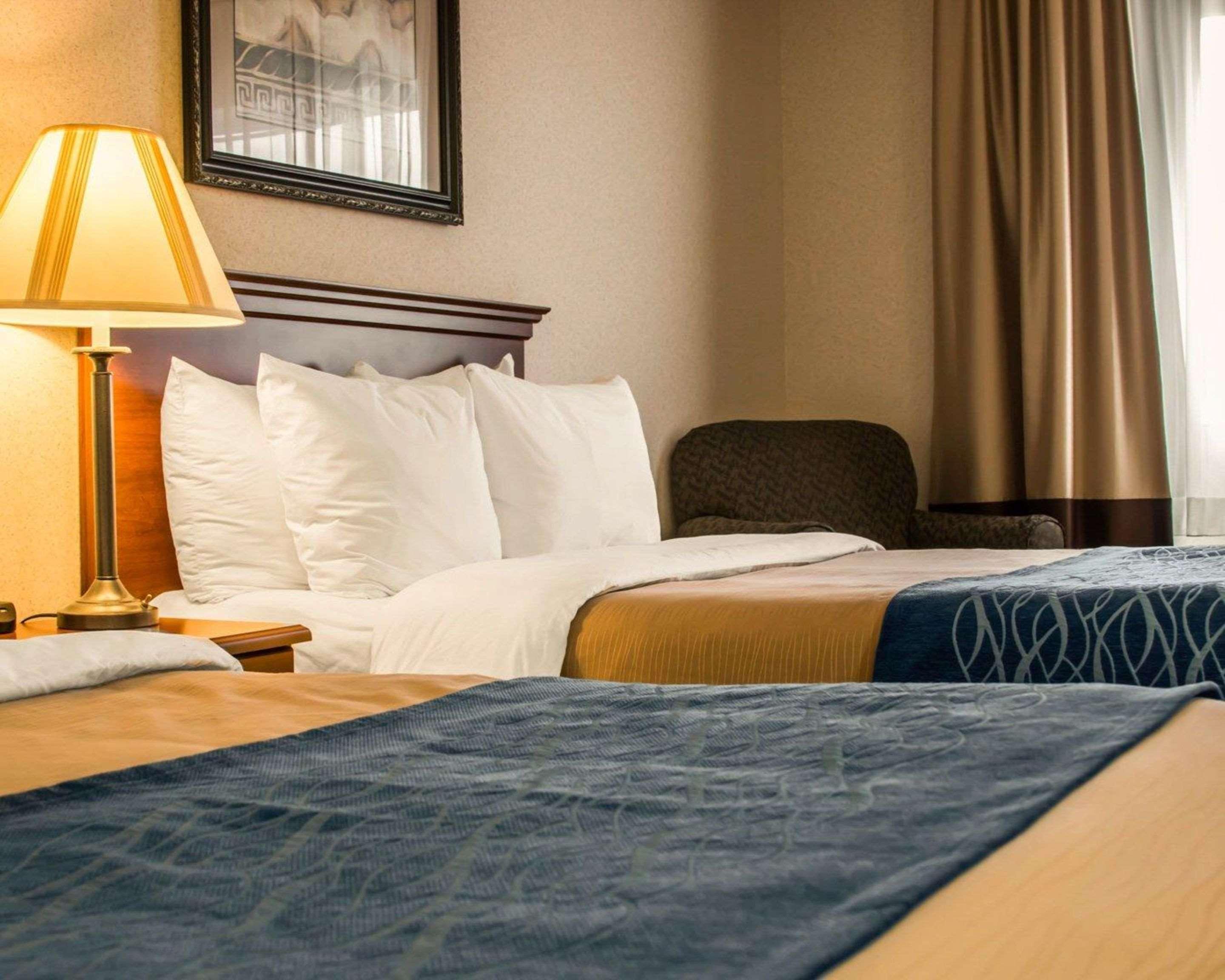 Comfort Inn & Suites Dimondale - Lansing Dış mekan fotoğraf