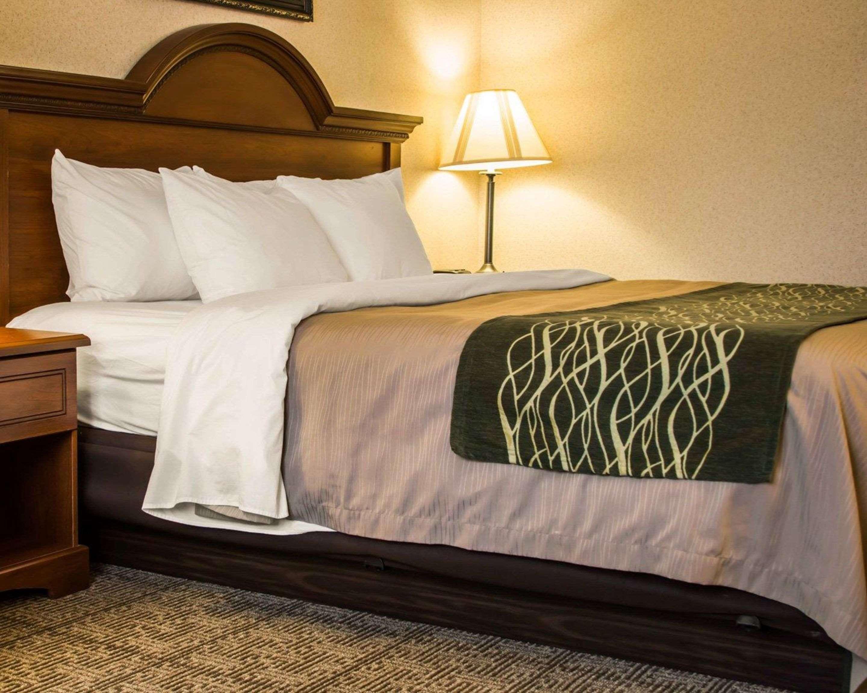 Comfort Inn & Suites Dimondale - Lansing Dış mekan fotoğraf