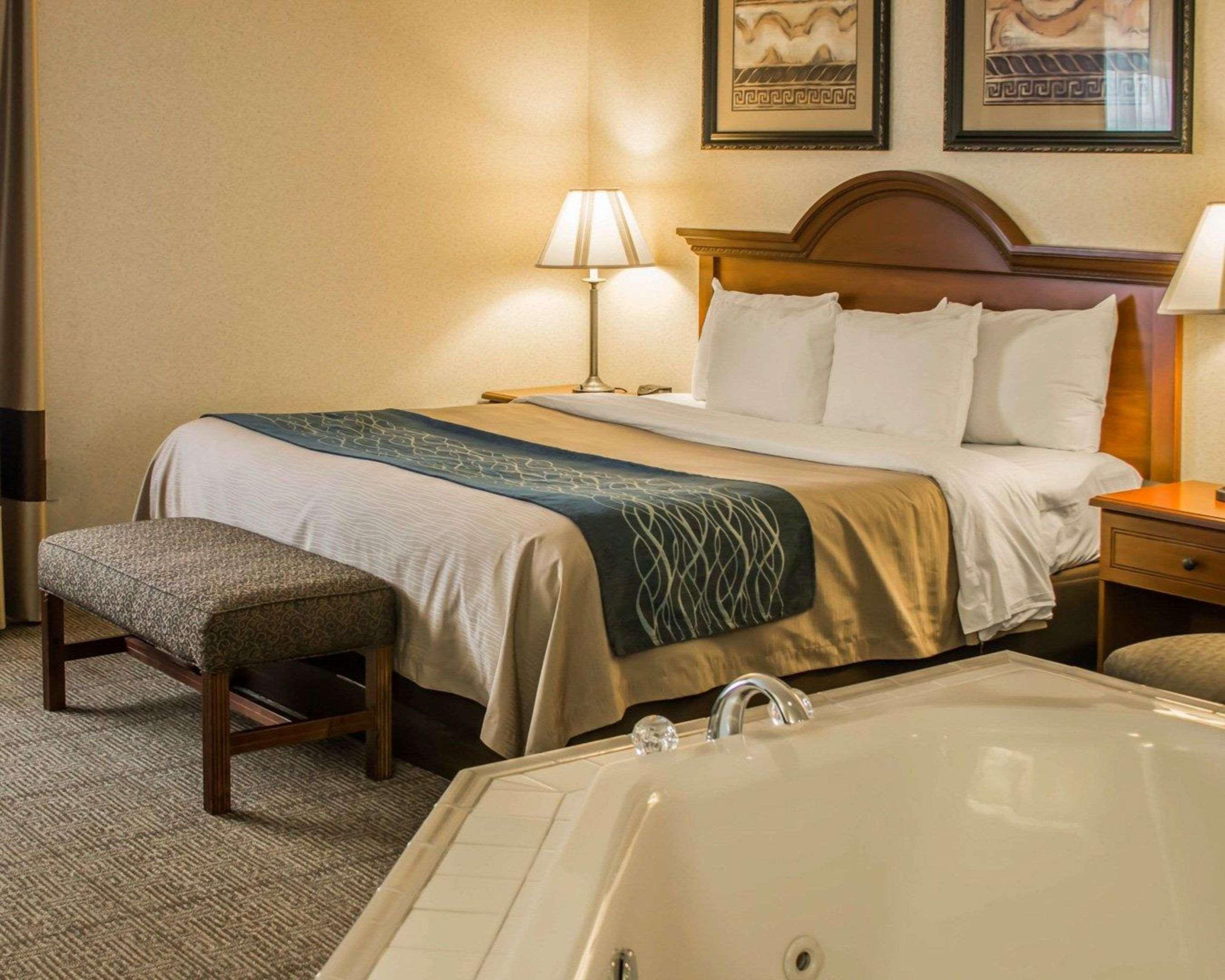 Comfort Inn & Suites Dimondale - Lansing Dış mekan fotoğraf