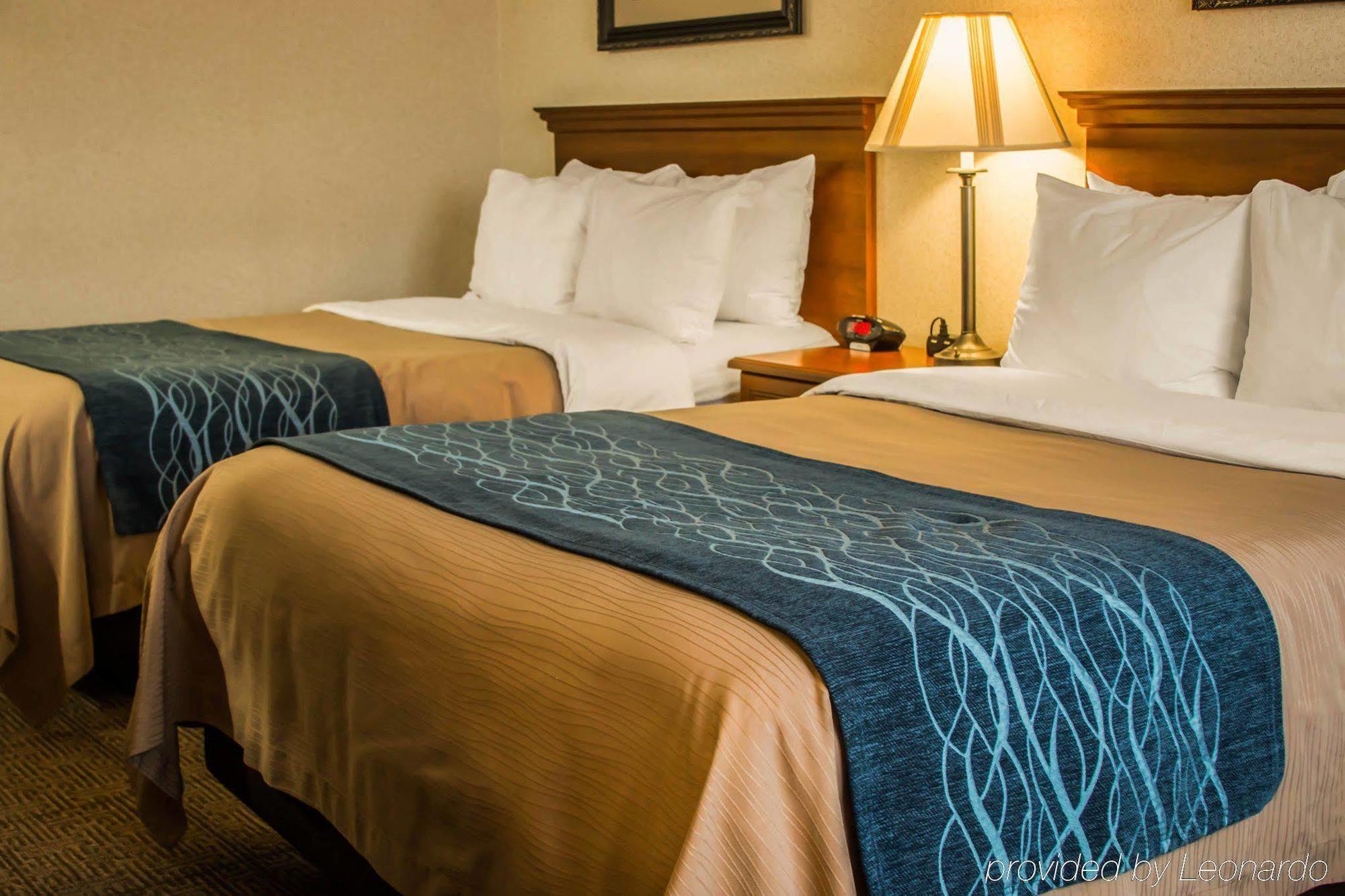 Comfort Inn & Suites Dimondale - Lansing Dış mekan fotoğraf