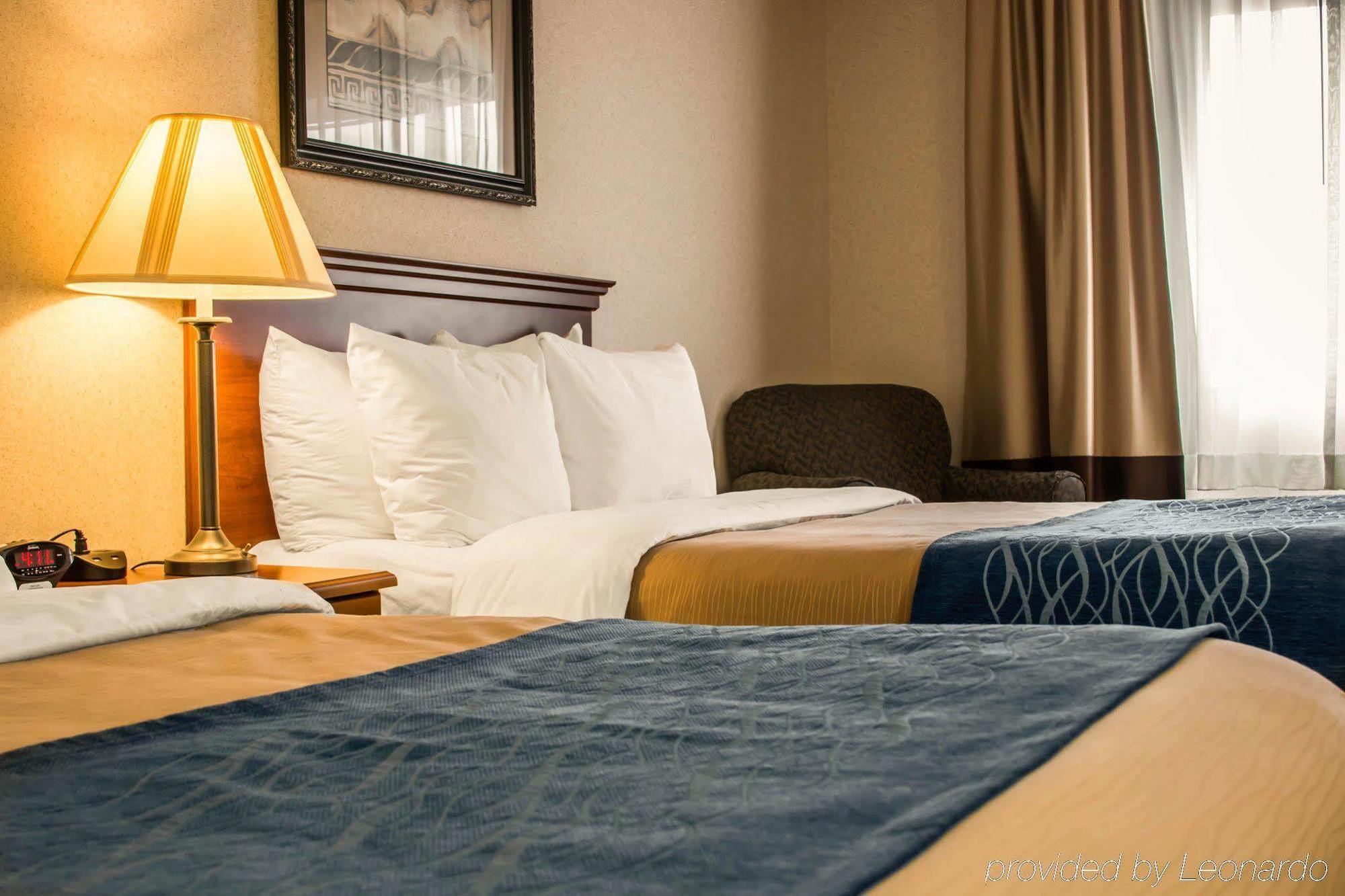 Comfort Inn & Suites Dimondale - Lansing Dış mekan fotoğraf